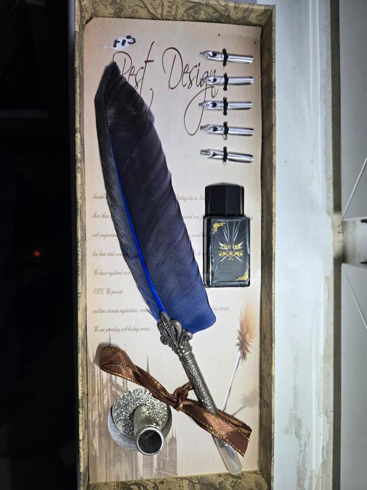 Luxe Kalligrafie Veerpen Set - Nieuw in Geschenkdoos, Antiek en Kunst, Antiek | Kantoor en Zakelijk, Ophalen of Verzenden