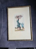 Pentekening, Ophalen of Verzenden