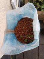 Hydrokorels, Ophalen, Tuinaarde