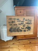 Schoolplaat Riet- en Watervogels, Ophalen of Verzenden, Natuur en Biologie