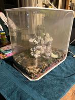 Biorb life 30 MCR (wit), Ophalen, Gebruikt, Gevuld zoetwateraquarium