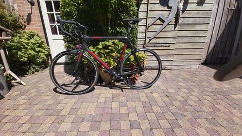 GIOVANNI TEAM BENELUX CARBON DURA ACE, Fietsen en Brommers, Fietsaccessoires | Fietsenrekken, Zo goed als nieuw, Ophalen