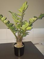 Kunstplant, Huis en Inrichting, Ophalen of Verzenden, Zo goed als nieuw