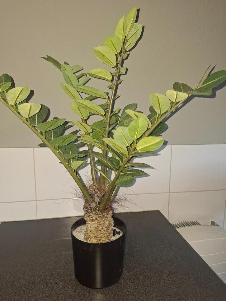Kunstplant, Huis en Inrichting, Woonaccessoires | Kunstplanten en Kunstbloemen, Zo goed als nieuw, Ophalen of Verzenden