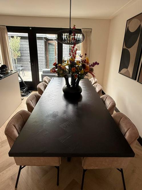 Grote eettafel met 8 heerlijke stoelen, Huis en Inrichting, Tafels | Eettafels, Zo goed als nieuw, 200 cm of meer, Vijf personen of meer