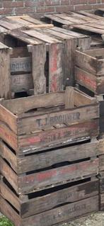 Oude fruitkisten   60. Stuks.    1 koop, Ophalen