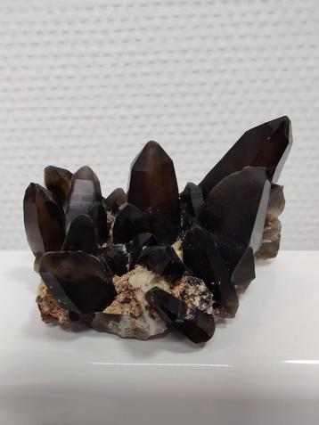Morion cluster Namibië  beschikbaar voor biedingen