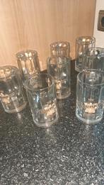 8 Bierpullen  -Dentergems Wit, Glas of Glazen, Gebruikt, Ophalen of Verzenden, Glas