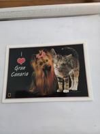 Kat en hond /  I  ️  ❤️ GRAN CANARIA, Ophalen of Verzenden, Overige thema's