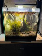 Superfish Qubiq 30 Pro, Dieren en Toebehoren, Ophalen, Gebruikt, Gevuld zoetwateraquarium