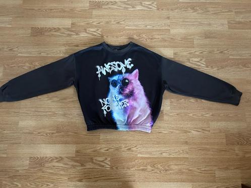 Leuke grappige trui H&M maat 158/164, Kinderen en Baby's, Kinderkleding | Maat 158, Gebruikt, Meisje, Trui of Vest, Ophalen of Verzenden