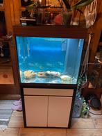 Aquarium Juwel Lido 120, Dieren en Toebehoren, Vissen | Aquaria en Toebehoren, Verzenden