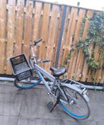 Jongensfiets Gazelle Puurnl 24 inch met Basil fietskrat, Fietsen en Brommers, Minder dan 47 cm, Ophalen of Verzenden, Gebruikt