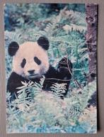 Oude panda wereld natuur fonds Ansichtkaart, Verzenden, 1980 tot heden, Ongelopen, Overige thema's