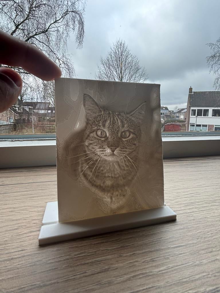 Gepersonaliseerde 3D geprinte foto, Ophalen of Verzenden, Nieuw