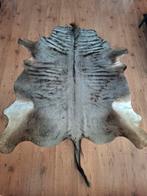 Prachtige blauwe Gnoe huid taxidermie dierenhuid, Ophalen of Verzenden, Zo goed als nieuw, Wild dier, Overige typen