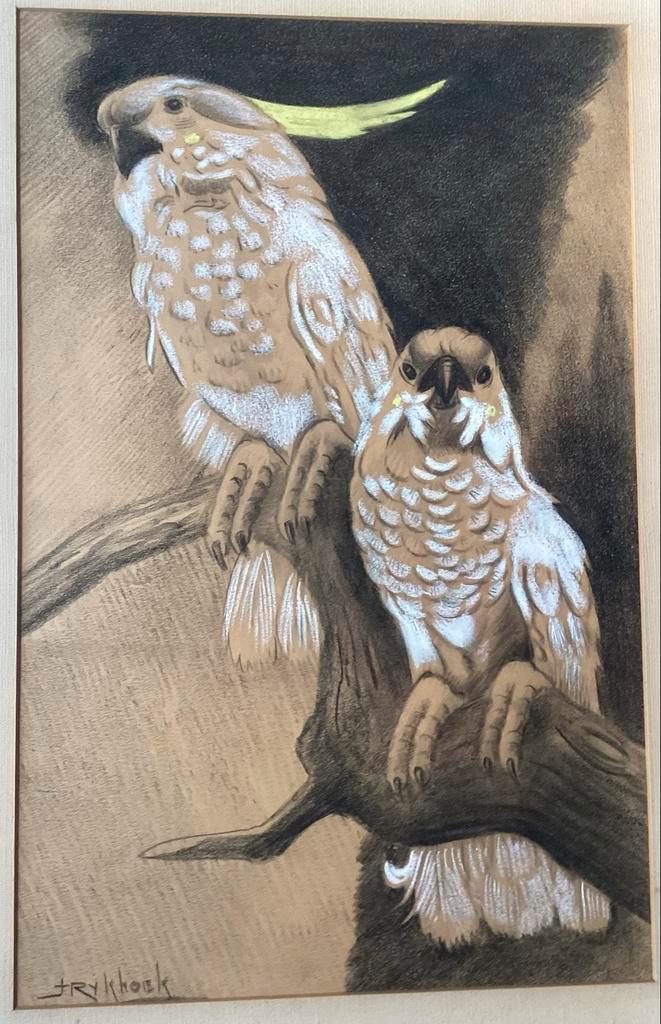 Jan Rijkhoek Papegaaien Tekening, Antiek en Kunst, Kunst | Etsen en Gravures, Verzenden