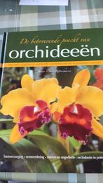 422 Boek: De betoverende pracht van Orchideeën, Ophalen of Verzenden, Brian&Sara Rittershausen, Zo goed als nieuw, Bloemen, Planten en Bomen