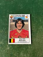 Panini plaatje Walter Meeuws Belgie WK 1982, Ophalen of Verzenden