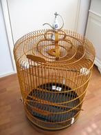 t.k. z.g.a.n. schamalijster kooi of twatwa kooi, Dieren en Toebehoren, Ophalen of Verzenden, Nieuw, Overige materialen, Vogelkooi