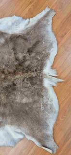 Rendierhuid 170/120, Gebruikt, 100 tot 150 cm, Etten-Leur, DJT@dejuistetoon.eu