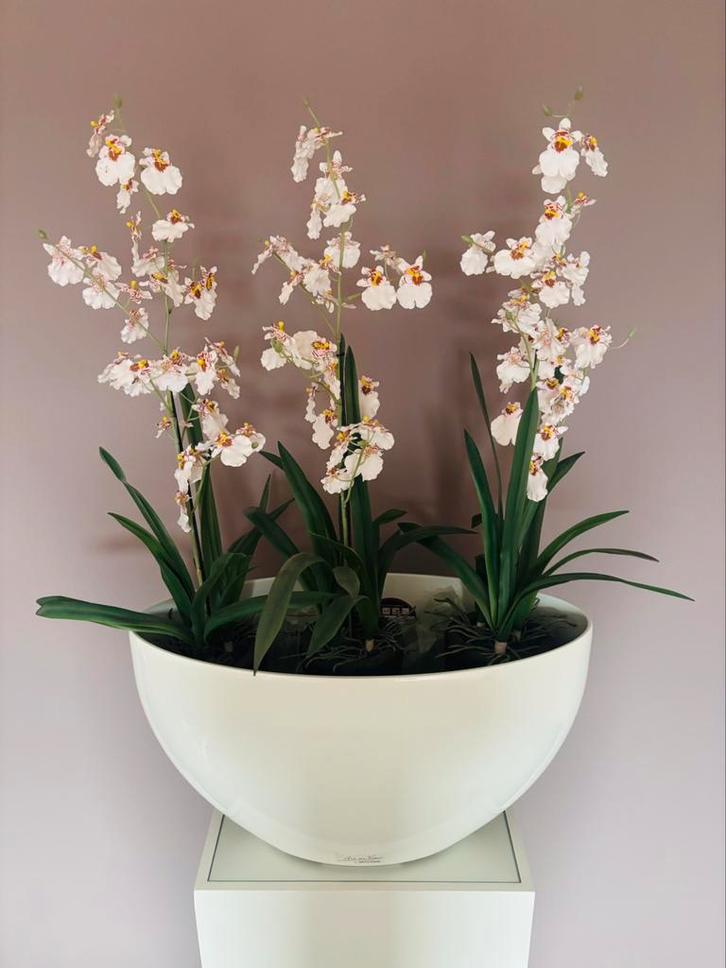 Hoogglans witte zuil met ovale bloempot / bloembak., Tuin en Terras, Bloembakken en Plantenbakken, Gebruikt, Overige materialen