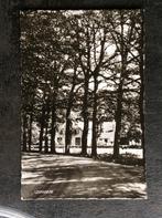 Leuvenum, Hotel De Zwarte Boer, Ophalen of Verzenden, 1960 tot 1980, Ongelopen, Gelderland