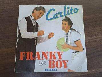 TELSTAR Franky Boy – Carlito beschikbaar voor biedingen