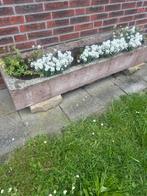 Goed onderhouden Bentheimer bak incl. planten, Ophalen, Gebruikt, 100 tot 200 cm, Natuursteen
