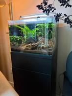 Dennerle aquarium, Dieren en Toebehoren, Vissen | Aquaria en Toebehoren, Ophalen, Zo goed als nieuw, Verlichting of Verwarming