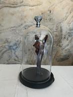 Prachtige Nieuw Opgezette Vleermuis In Stolp Taxidermie, Ophalen of Verzenden, Nieuw, Wild dier, Opgezet dier