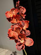 Silk-ka Orchidee Tiger Real Touch - 7 stuks Nieuw, Huis en Inrichting, Ophalen of Verzenden, Nieuw, Binnen
