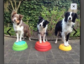 WePlay / Alprovi regenboog stappenset met draagtas. 6 stuks. beschikbaar voor biedingen