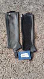 Ariat concord chap (st), Ophalen of Verzenden, Nieuw, Overige soorten, Schoeisel