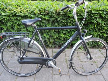 Gazelle Orange beschikbaar voor biedingen