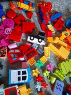 Grote Duplo verzameling, Ophalen of Verzenden, Gebruikt, Losse stenen, Duplo