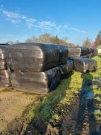 Kuil pakken, Ophalen of Verzenden, Vee