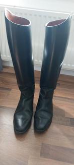 Paardrijlaarzen Petrie, Dieren en Toebehoren, Paardrijkleding, Ophalen of Verzenden, Dames, Schoeisel