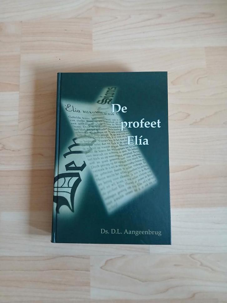 De profeet Elia - Ds. D.L. Aangeenbrug, Boeken, Godsdienst en Theologie, Zo goed als nieuw, Christendom | Protestants, Ophalen