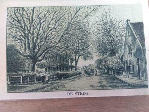 06 / De Steeg  kleine litho 1894 zeldzaam, Antiek en Kunst, Kunst | Litho's en Zeefdrukken, Ophalen of Verzenden
