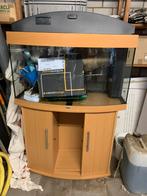 Aquarium, Ophalen of Verzenden, Zo goed als nieuw, Leeg aquarium
