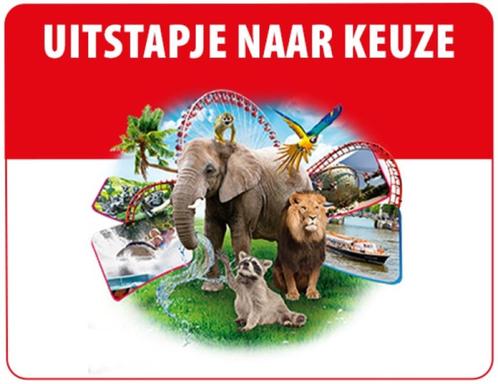 Postcode loterij UITSTAPJE naar keuze voor 4 personen, Tickets en Kaartjes, Recreatie | Pretparken en Attractieparken, Drie personen of meer