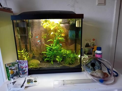 SuperFish 50 liter Tropisch aquarium compleet met vissen., Dieren en Toebehoren, Vissen | Aquaria en Toebehoren, Zo goed als nieuw