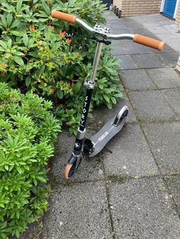 Story 70's Volwassen Step beschikbaar voor biedingen