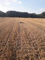 Kleine pakjes tarwestro