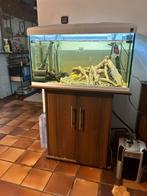 Aquarium 80cm te koop, Dieren en Toebehoren, Vissen | Aquaria en Toebehoren, Gebruikt, Ophalen, Leeg aquarium