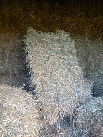 Hooi en gerste strobalen beschikbaar voor biedingen