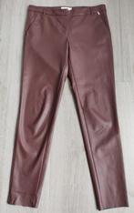 ANNA ( Van Toor) Fake-Leren, Aubergine Broek maat 38 (Nieuw), Kleding | Dames, Broeken en Pantalons, Nieuw, ANNA (Van Toor), Lang