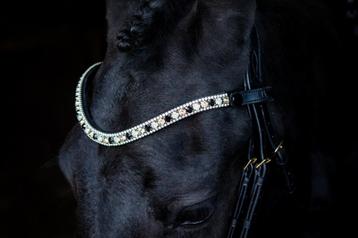 L'Anique Click&Go Frontriem Blossom beschikbaar voor biedingen