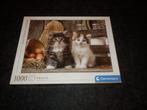 PUZZLE 1000 HIGH QUALITY::::LOVELY KITTENS:::Clementoni, Ophalen of Verzenden, Zo goed als nieuw